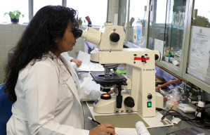 Research scientist in clinical laboratory